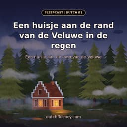Cover art for Een huisje aan de rand van de Veluwe in de regen