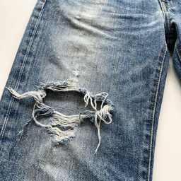 Cover art for The Torn Pants