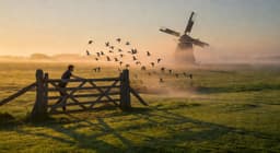 Cover art for Bram aan het weiland: een mysterie bij zonsopgang