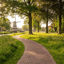 Cover art for De Heropening van Park Paardenveld