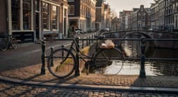 Cover art for Verhaal: Het Mysterie van de Verloren Fiets