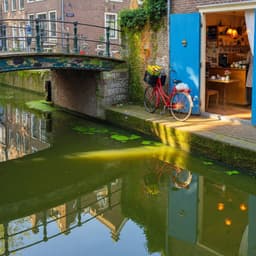 Cover art for Mokum of Amsterdam?