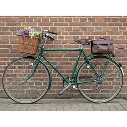 Cover art for Het Mysterie van de Verloren Fiets: een dag in Vlietveen
