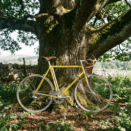 Cover art for De Gele Fiets in Buggenhout