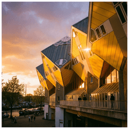 Cover art for Rotterdam is Top