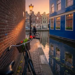 Cover art for Mr. Dutch: De fiets en de vraag