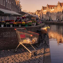Cover art for The Broken Shopping Cart