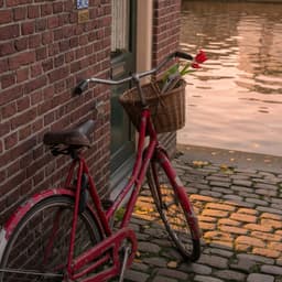 Cover art for Mr. Dutch: Fiets, fiets, fiets!
