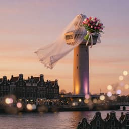 Cover art for Wordt de Euromast uitgehuwelijkt?