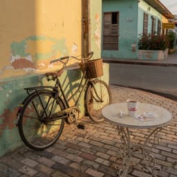 Cover art for Een moeilijke dag in Venezuela