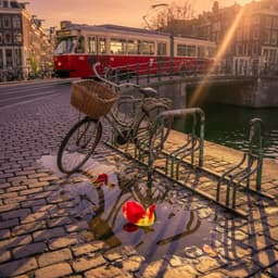 Cover art for Mr. Dutch: De fiets is weg