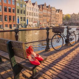 Cover art for De Rode Schoenen van Noor