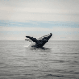 Cover art for De Blauwe Walvis en de Waarheid